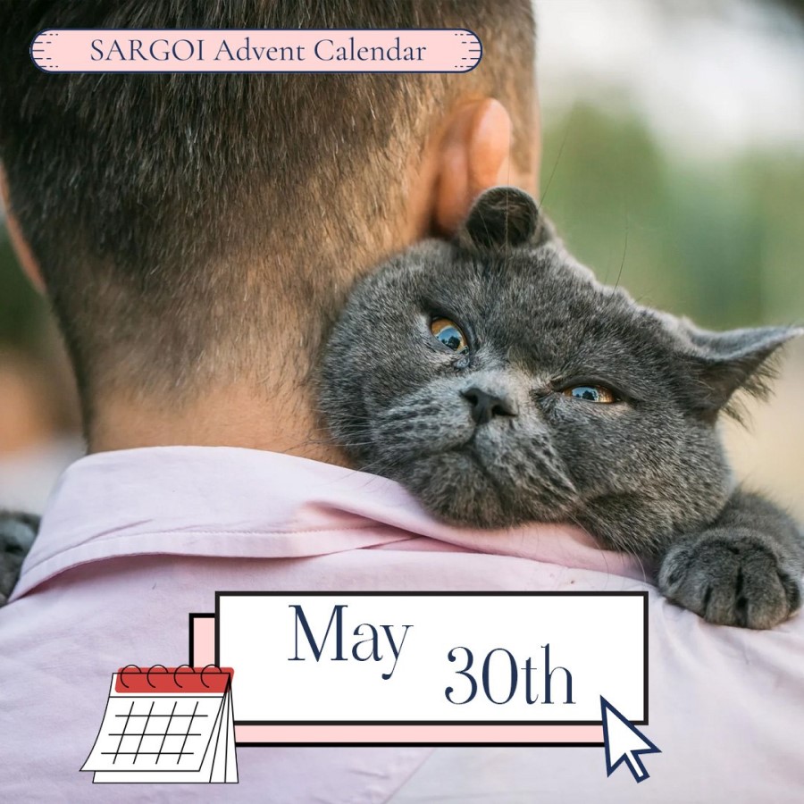 Hug Your Cat Day